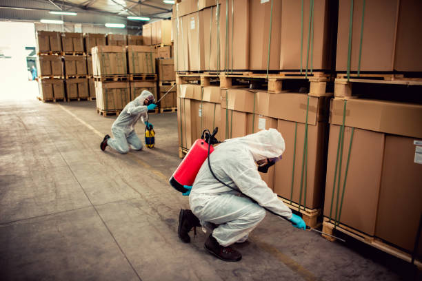 Best Cockroach Control Services  in Aubrey, TX