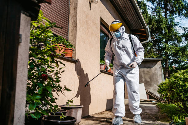 Best Emergency Pest Control  in Aubrey, TX