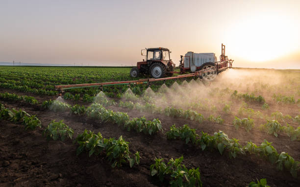 Best Best Pest Control Companies  in Aubrey, TX
