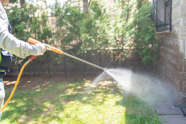 Best Bed Bug Extermination  in Aubrey, TX