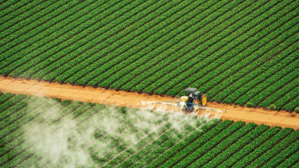 Best Pest Control for Homes  in Aubrey, TX
