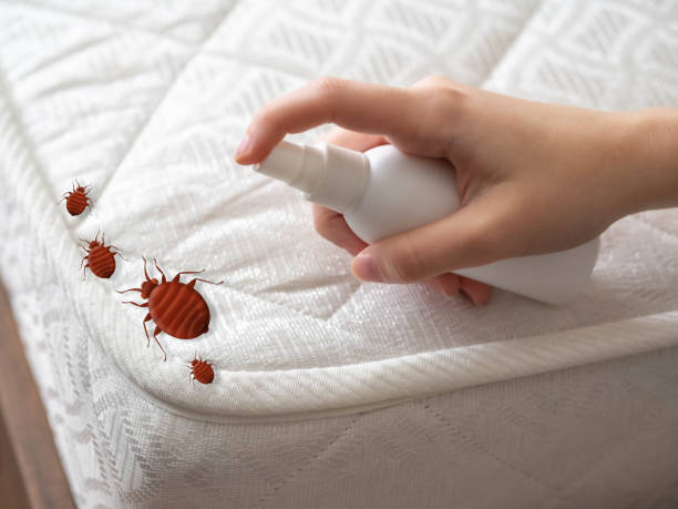 Best Pest Prevention Services  in Aubrey, TX